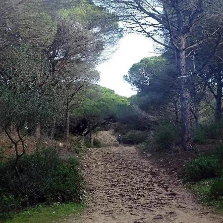 Casa Melva | Primera Linea Con Terraza, Moderno Διαμέρισμα